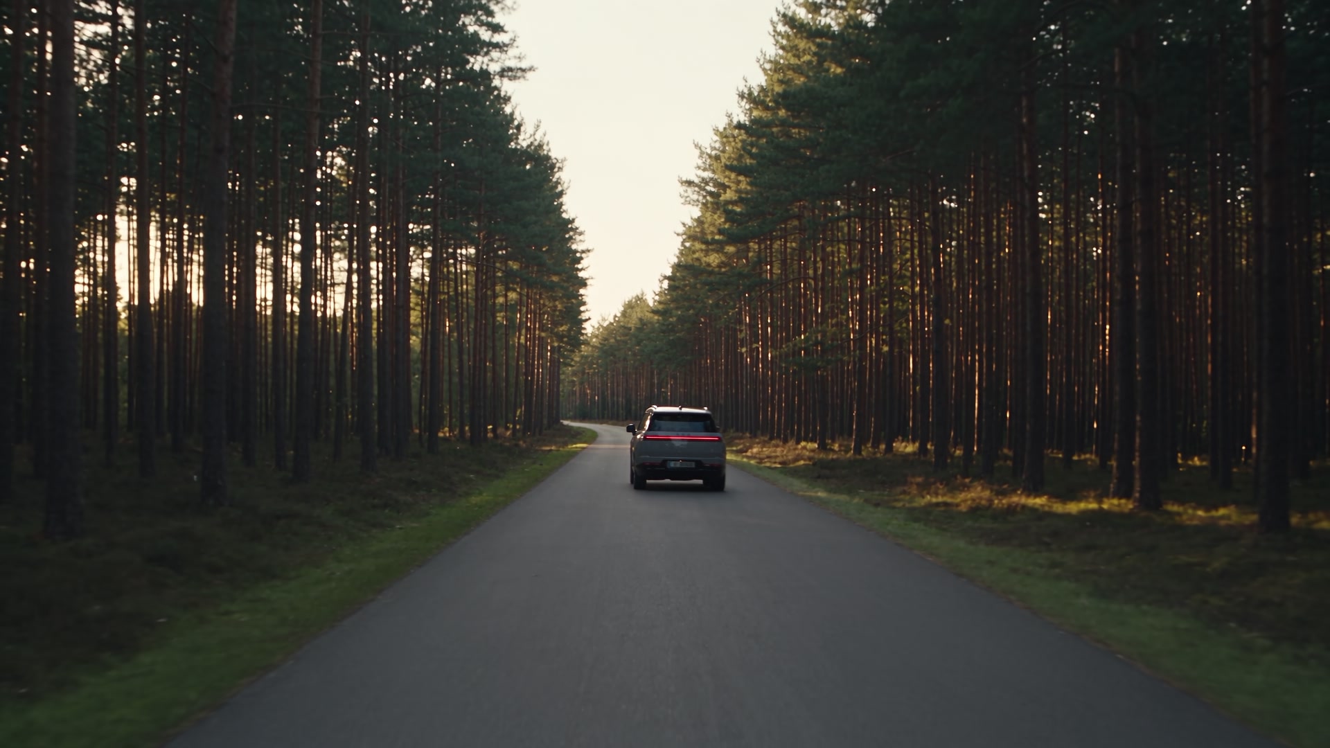 A vehicle on a straight road through a sunlit forest